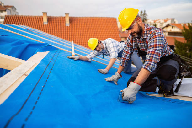 Best Gutter Installation and Roofing  in Dortches, NC