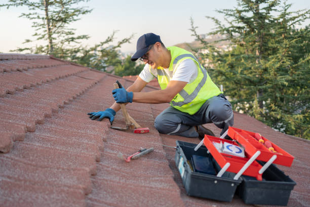 Best Storm Damage Roof Repair  in Dortches, NC
