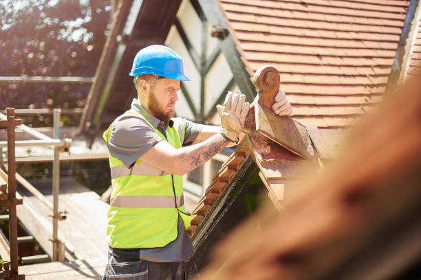 Best Roof Leak Repair  in Dortches, NC